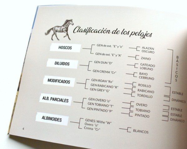Seamos todos caballos. Pelajes criollos en patagonia - Jorge Piccini