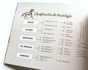 Seamos todos caballos. Pelajes criollos en patagonia - Jorge Piccini