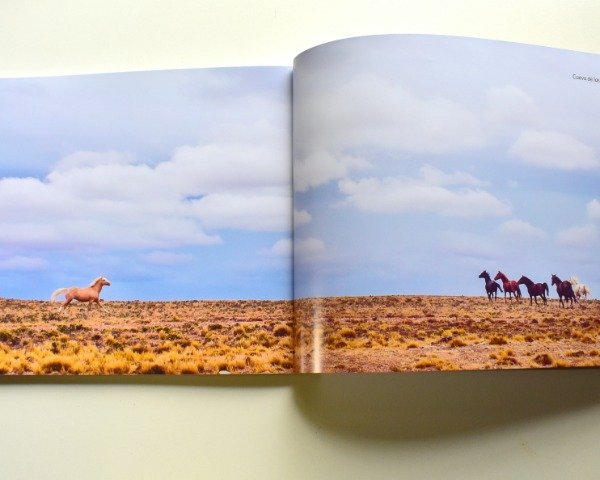 Seamos todos caballos. Pelajes criollos en patagonia - Jorge Piccini