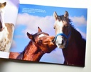 Seamos todos caballos. Pelajes criollos en patagonia - Jorge Piccini